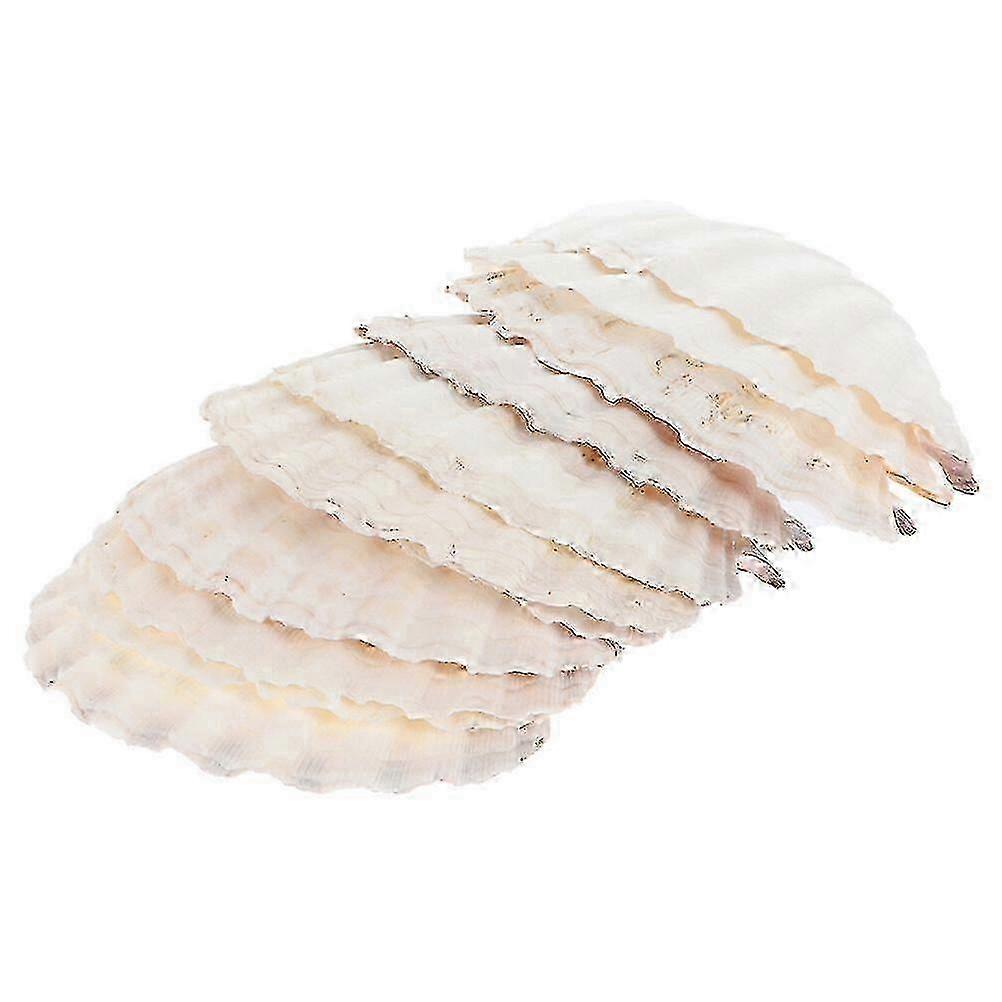 12pcs Natural Baking Seashells Food Cooking Steaming Seashells Tableware