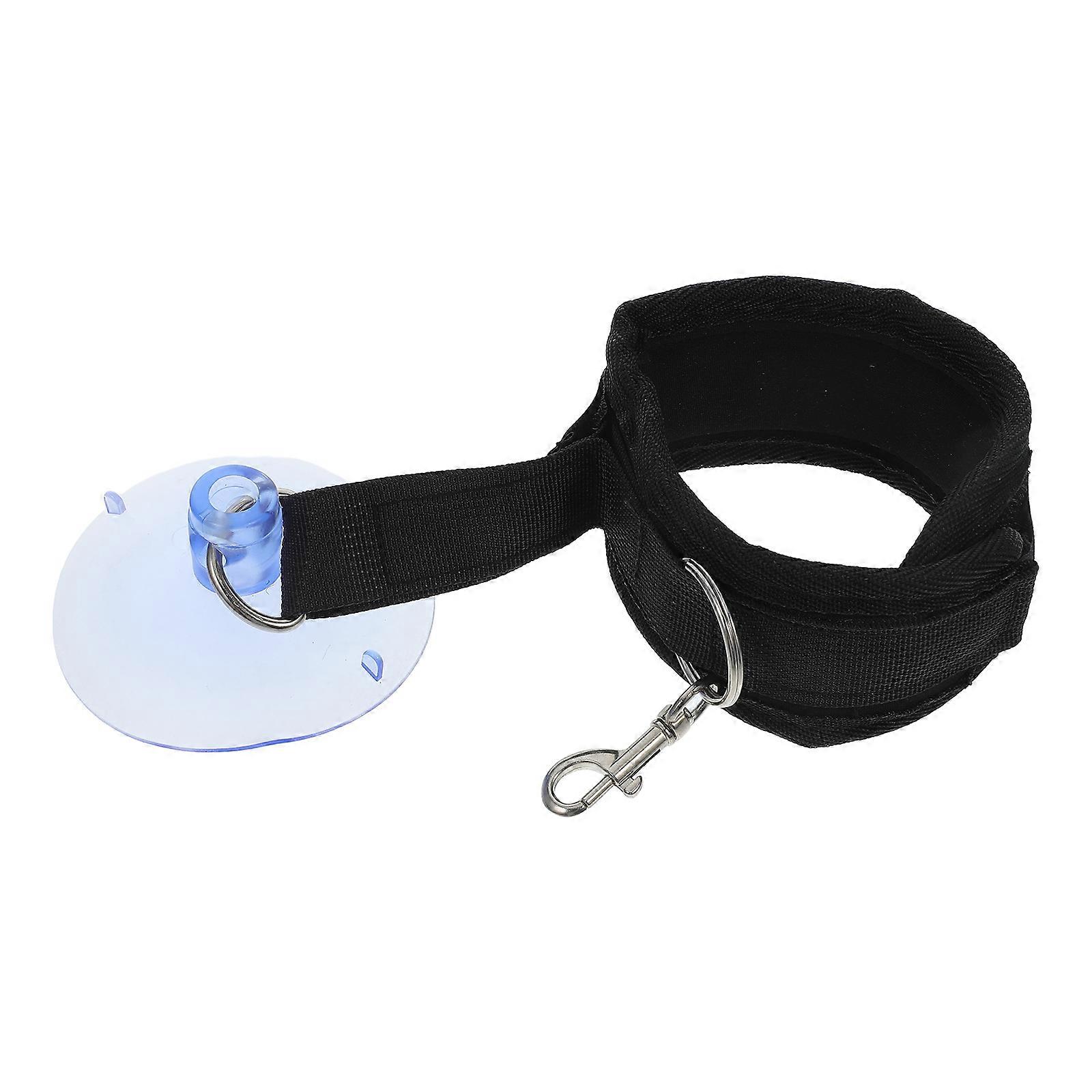 Dog Grooming Loops Leash for Bathing Suction Cup Holder Black