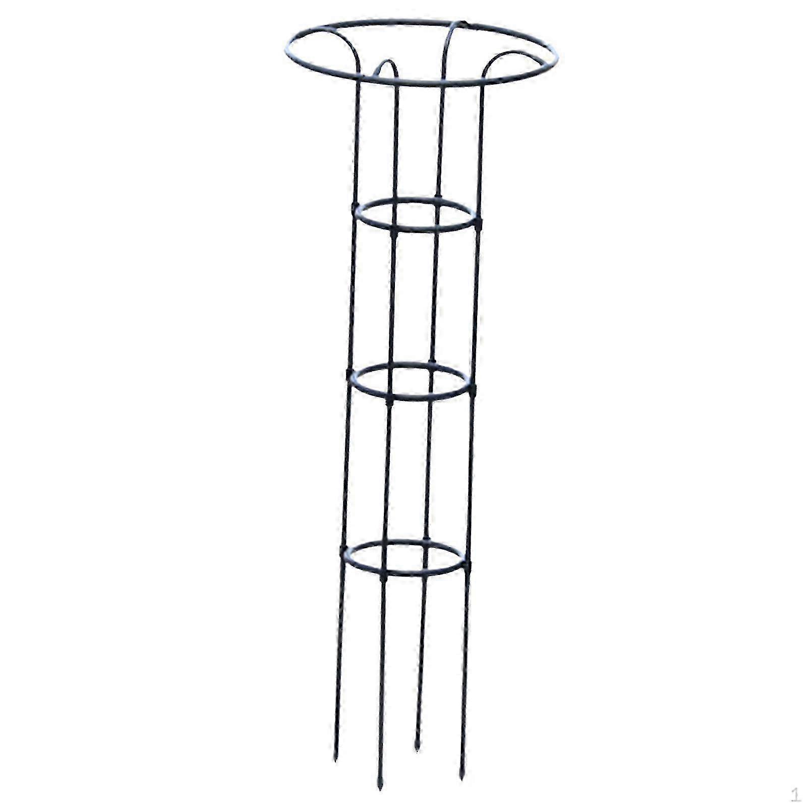 Metal Trellis for Climbing Plants And Vines in The Garden