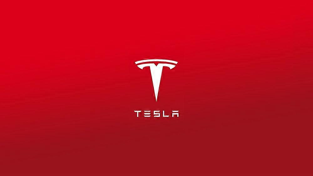 Tesla Stress Reliever Jigsaw Puzzle EB 7518