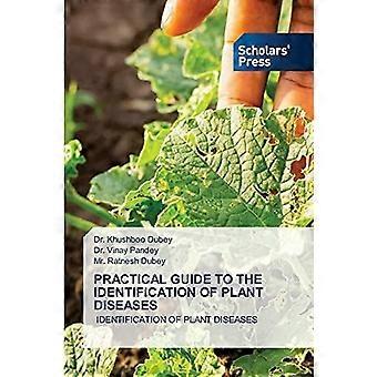 Practical guide to the identification of plant diseases identification of plant diseases