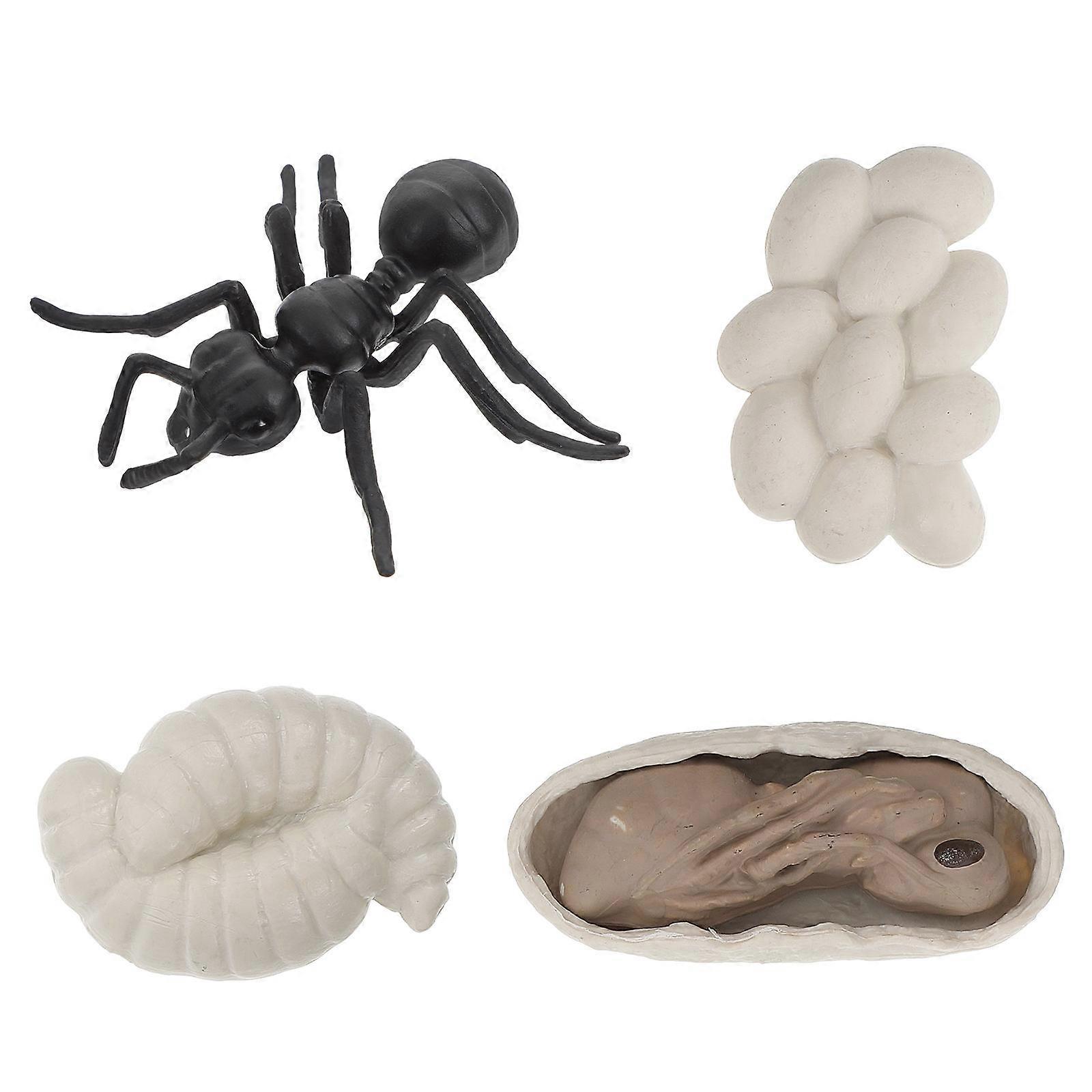 1 Set Vivid Simulation Worker Ants Evolution Models Plastic Worker Ants Cognitive Toys