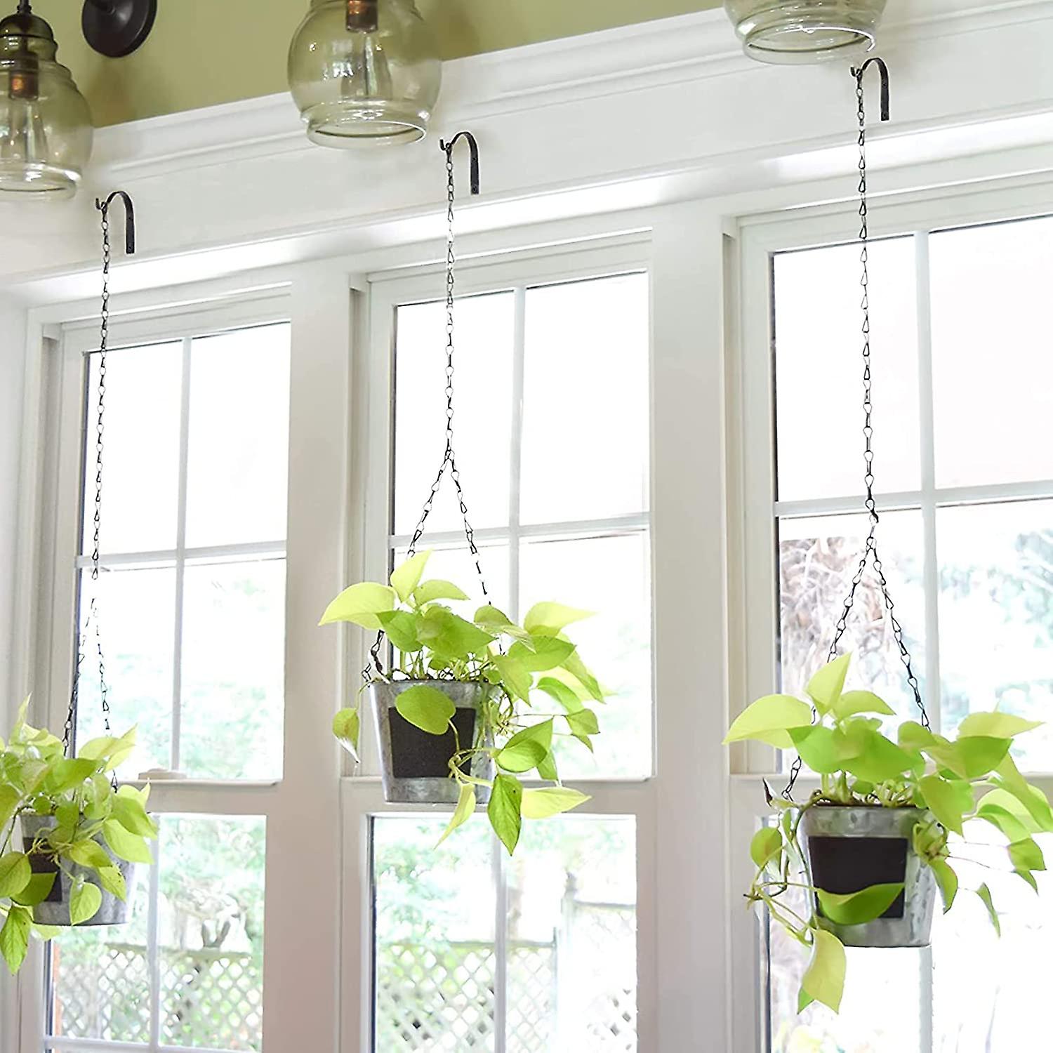 Bazhou S Type Wallmounted Wrought Iron Flower Basket Hooks Hanging