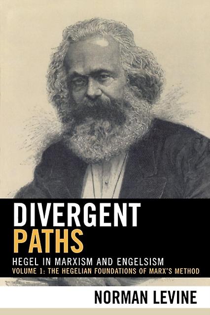 Divergent Paths by Norman Levine Paperback Book