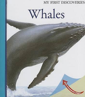 Whales by Claude Delafosse Paperback Book