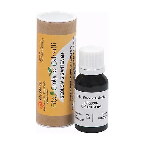 Sequoia Gigantea Fee 15 ml