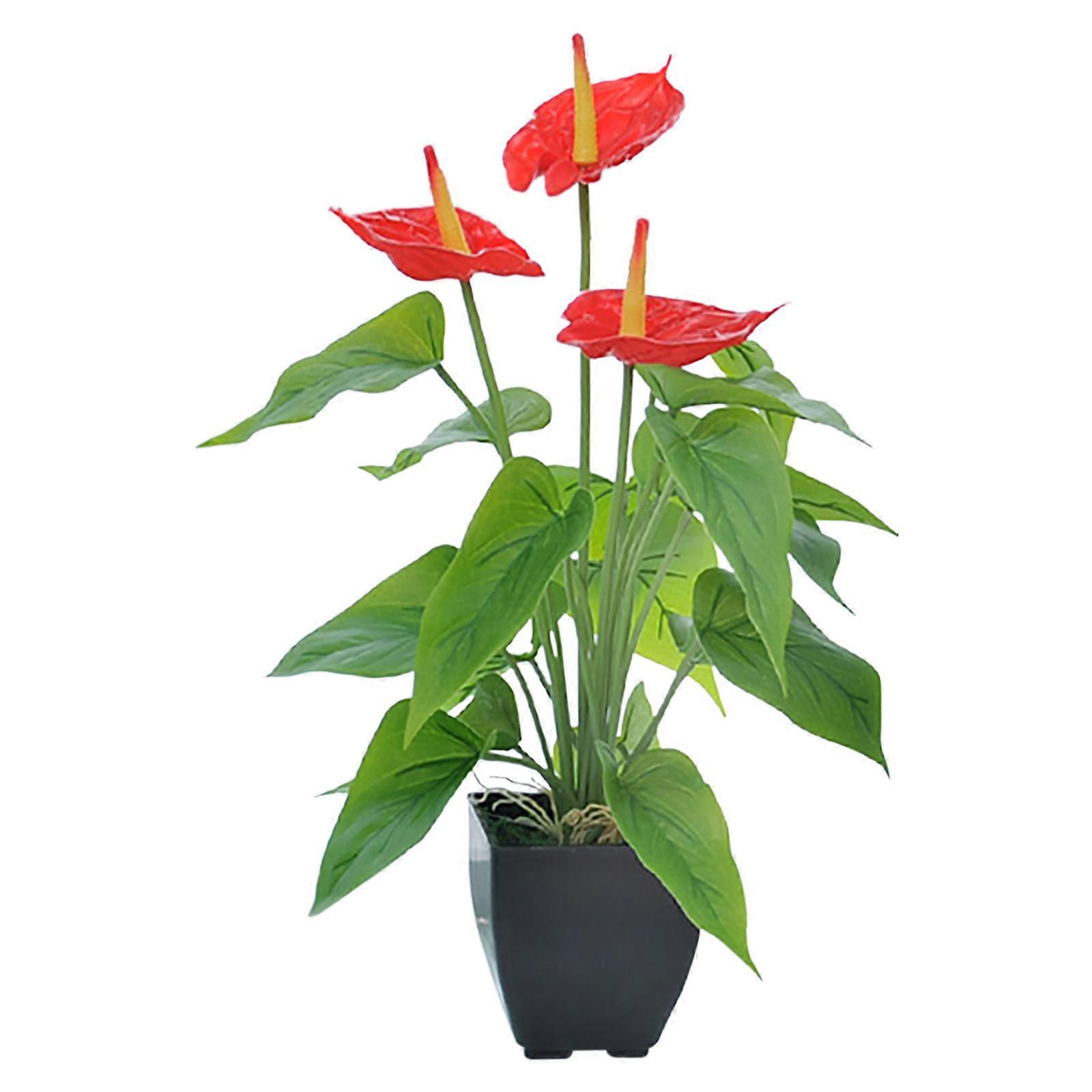 Simulation Plant Bonsai Simulation Flower Calla Green Plant Simulation