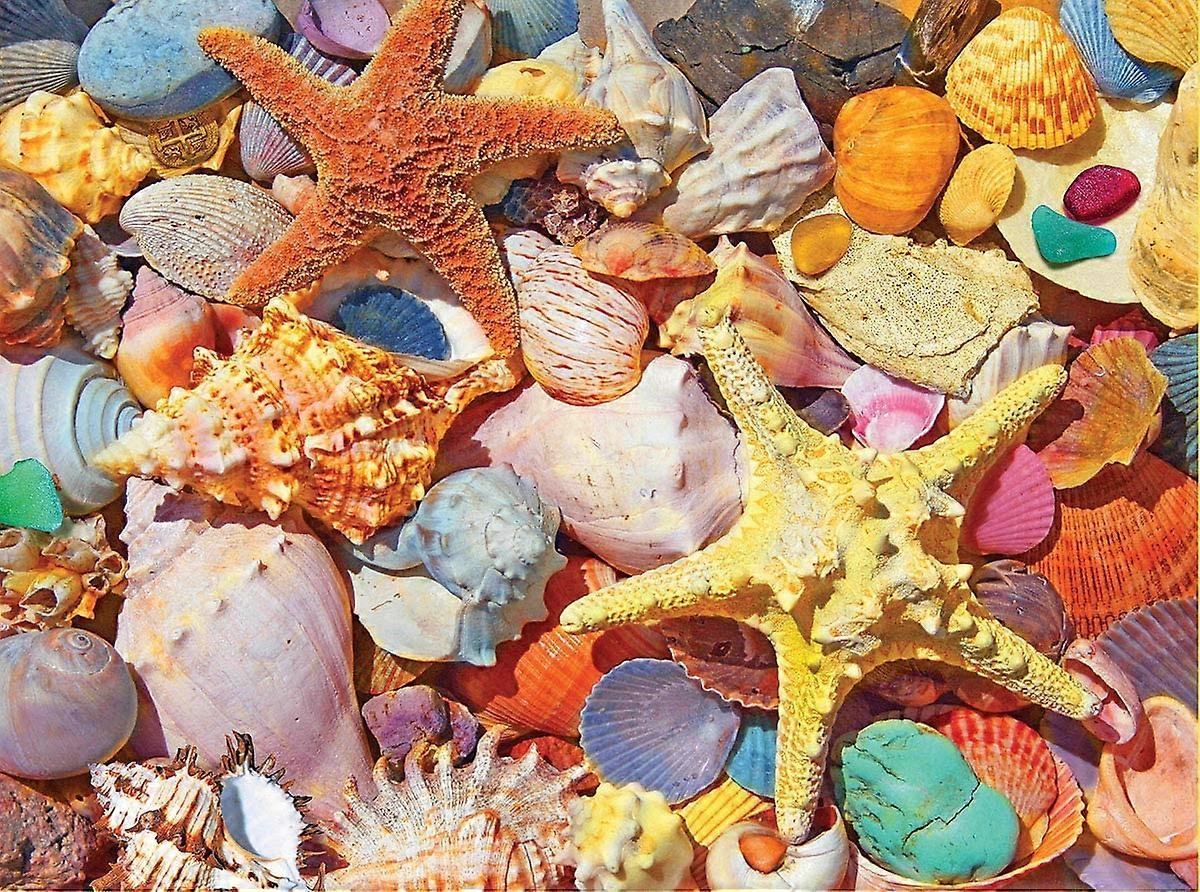 Puzzles Beach Shells - 300 Piece Jigsaw Puzzle
