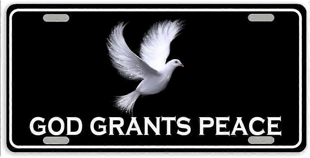 Capa de Placa de Licença de Carro de Metal com 4 Furos 12 x 6 Polegadas