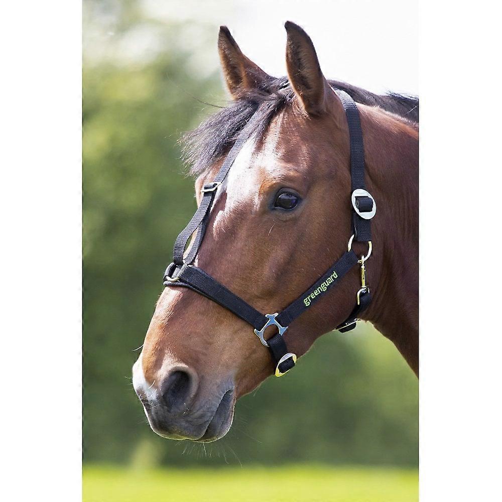 Shires Greenguard Headcollar