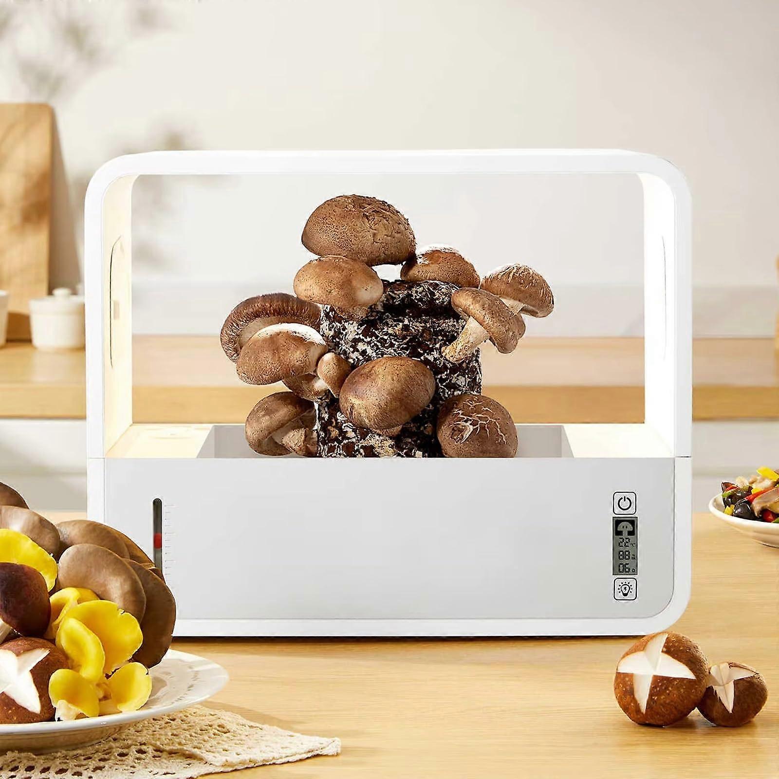 Smart Mushroom Planting Growing Kit, Fully Automatic Still Air Box With Light For Spores