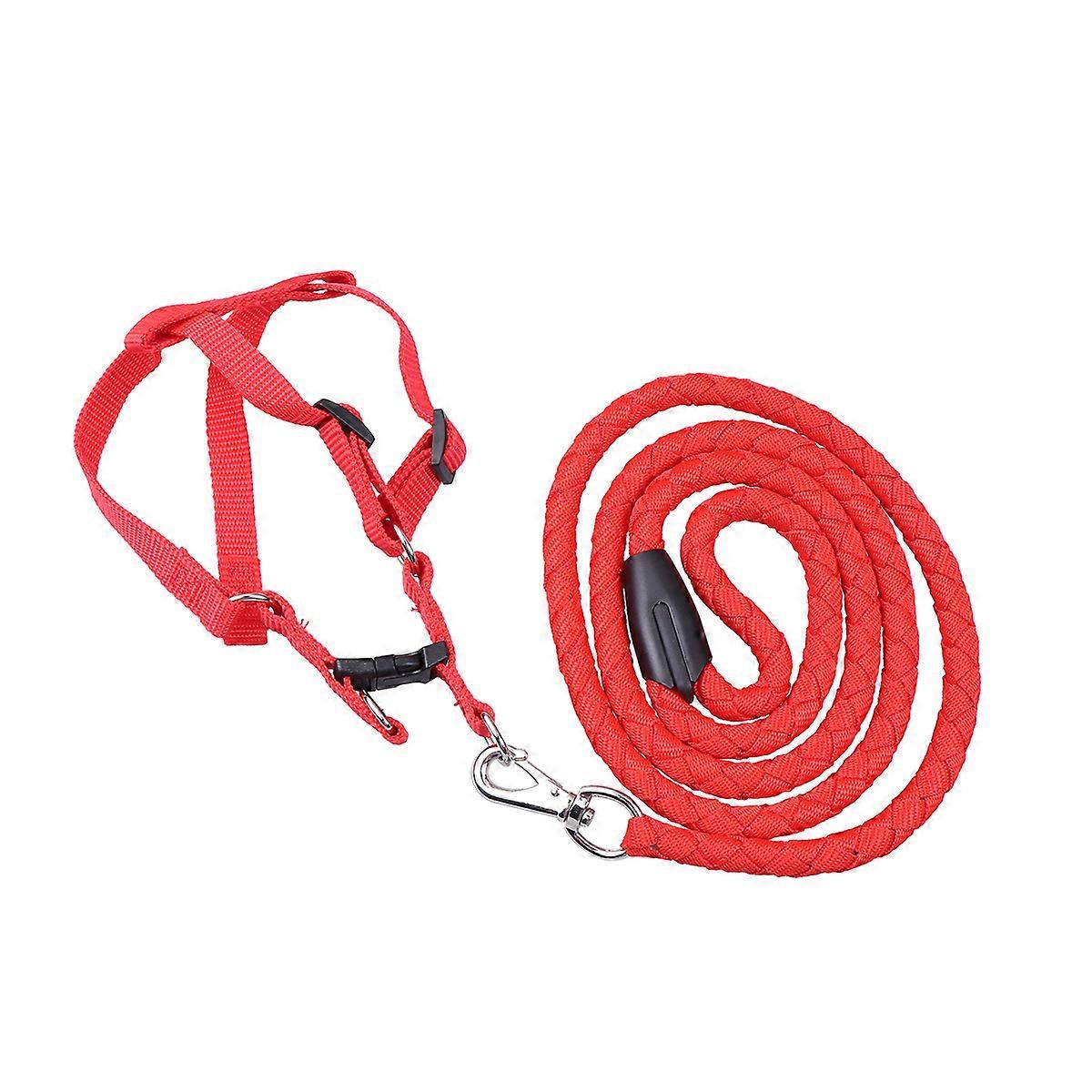 Adjustable Pet Harness Traction Rope Comfortable Wearing Experience Red Color XXL For Outdoor Use 1Set