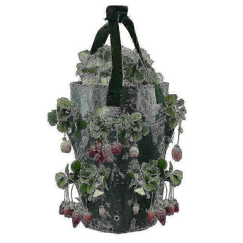 hage urt planter pose jordbær vokse pose planter hengende blomst