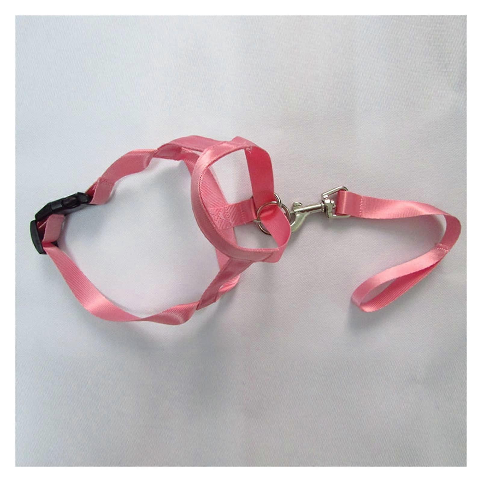 Harness Adjustable Muzzle Dog Halter Leader Belt XL Pink No Pull Training Leash Head Collar with Bite Straps