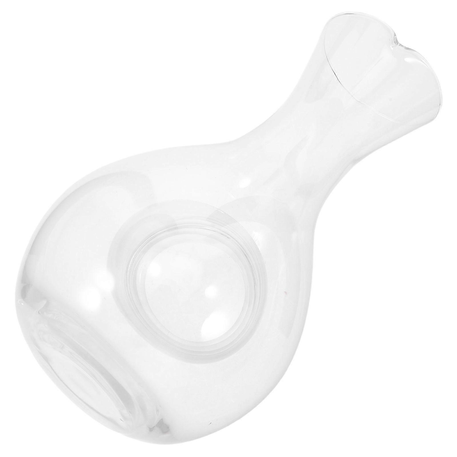 Ice Wine Jug Glass Decanter for Drinking Use 400ml Cold Sake Beverage Holder