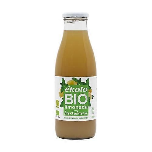 Lemonade with spearmint + agave 750ml 200 ml