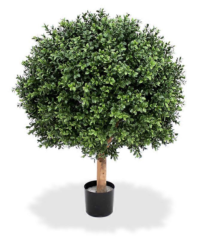 Kula bukszpanu (60 cm)