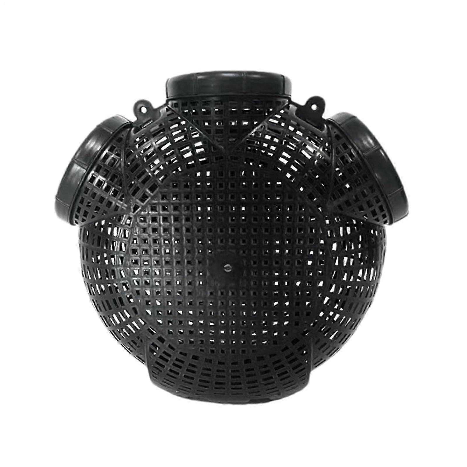 Bait fish trap Eel For fishing