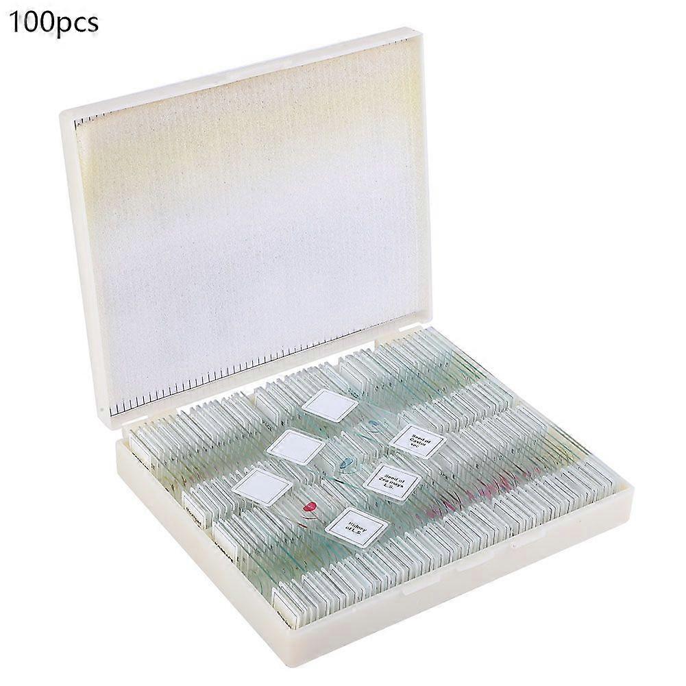Prepared Biological Section Slide Set for Basic Biological Science Education 100 Slides