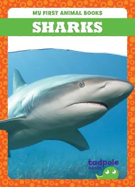 Sharks by Natalie Deniston Hardback Book