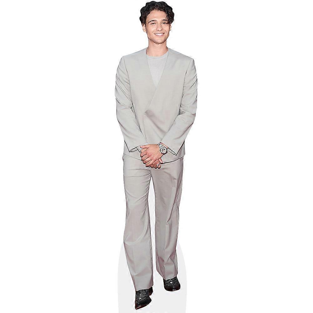 Costa D'angelo (Grey Suit) Cardboard Cutout (lifesize OR mini size). Standee. Stand Up.