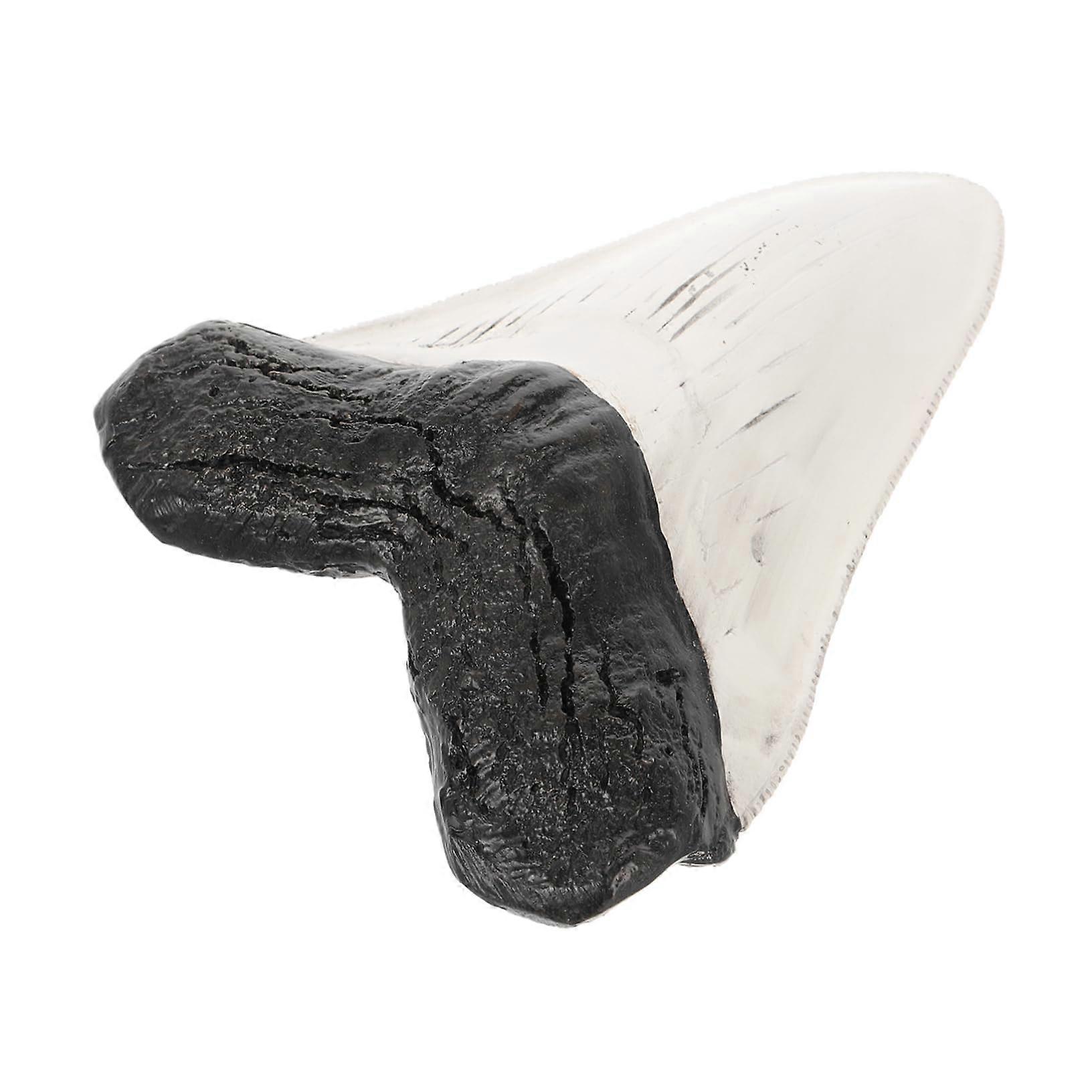 Giant Fake Tooth Model with Durable Construction for Home and Office Decorative Display