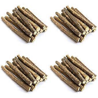 80Pcs Natural Silvervine Sticks for Catnip Sticks Matatabi Chew Sticks Teeth Molar Chew Toys for Cat Teeth Cleaning