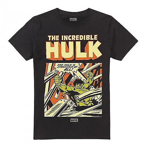 Hulk Mens Rage T-Shirt