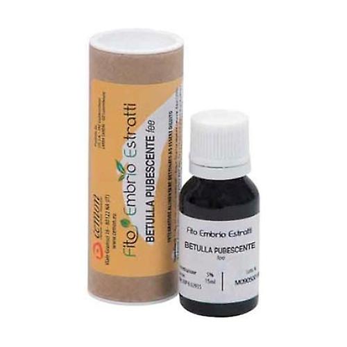 Birch Pubescent Fee 15 ml