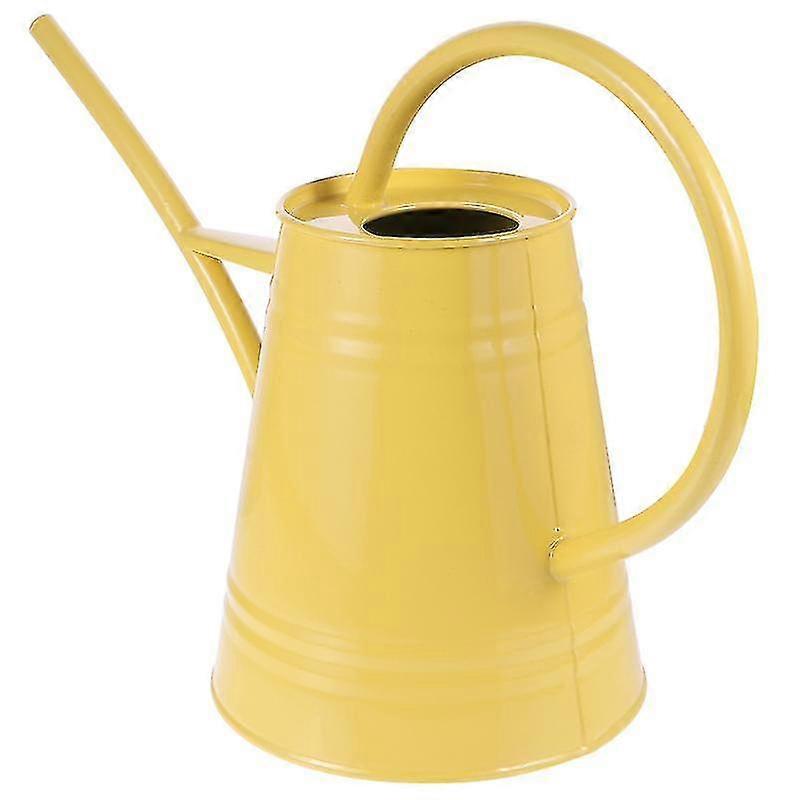 1pcs Watering cans, Iron Watering Kettle