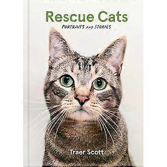 Retratos e histórias de gatos resgatados - Traer Scott