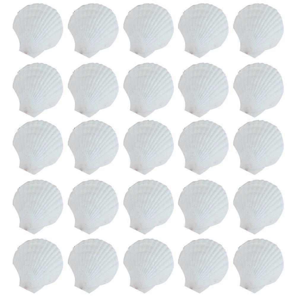 25Pcs Natural Scallop Shell, Special for Handmade DIY Production Handmade DIY Coloring Shell