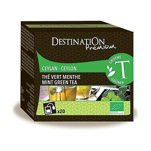 Mint Green Tea - Ceylon 20 units of 2g