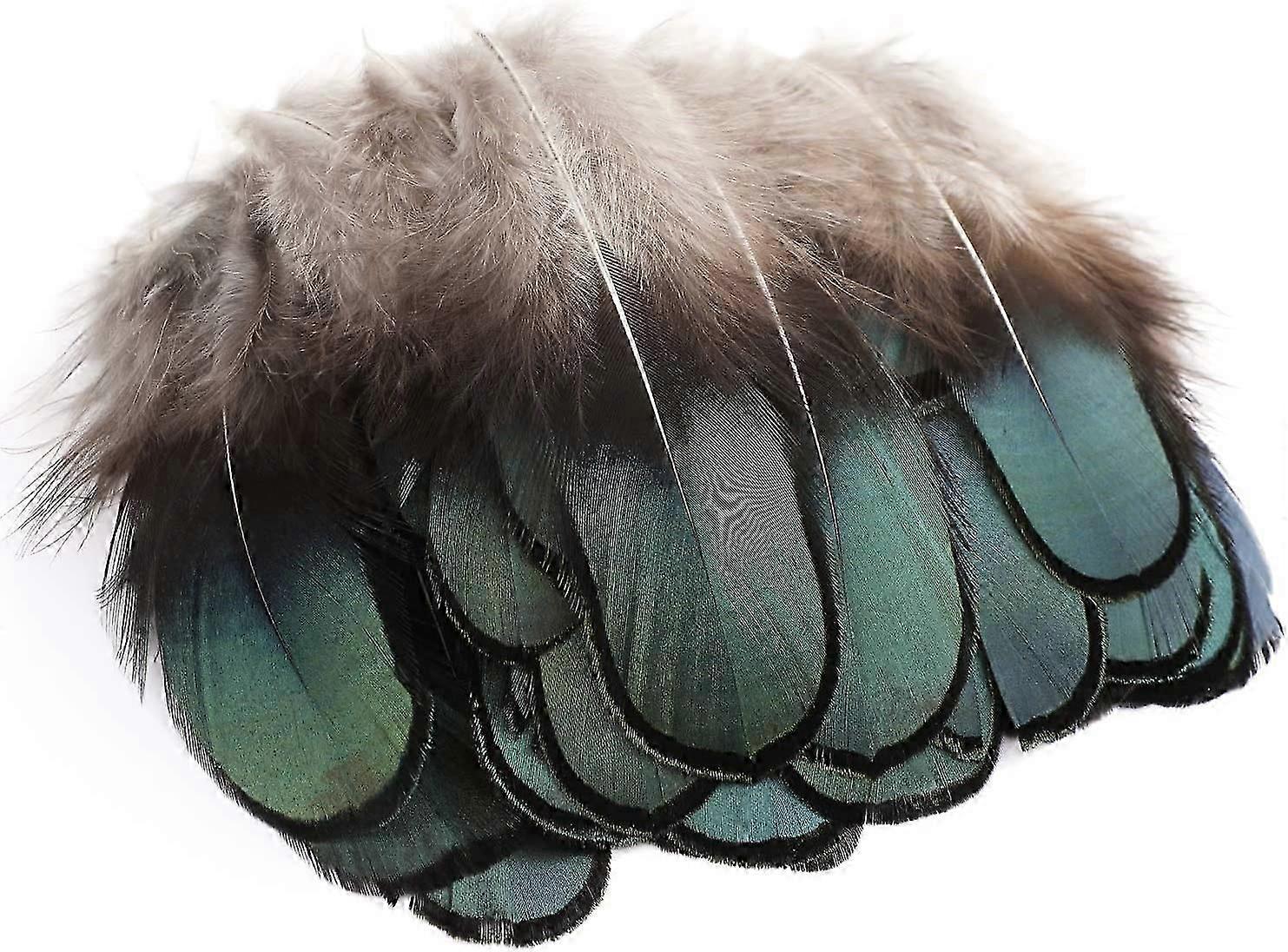 50 plumes naturelles, plumes de faisan pour la fabrication de bijoux et la décoration de chapeaux (5-8 cm)