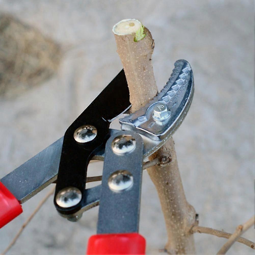 Pruning Shears with Shock-Absorbing Handles for Tree Branch Cutting Tool Garden Scissors Lopper for Branch Trimming