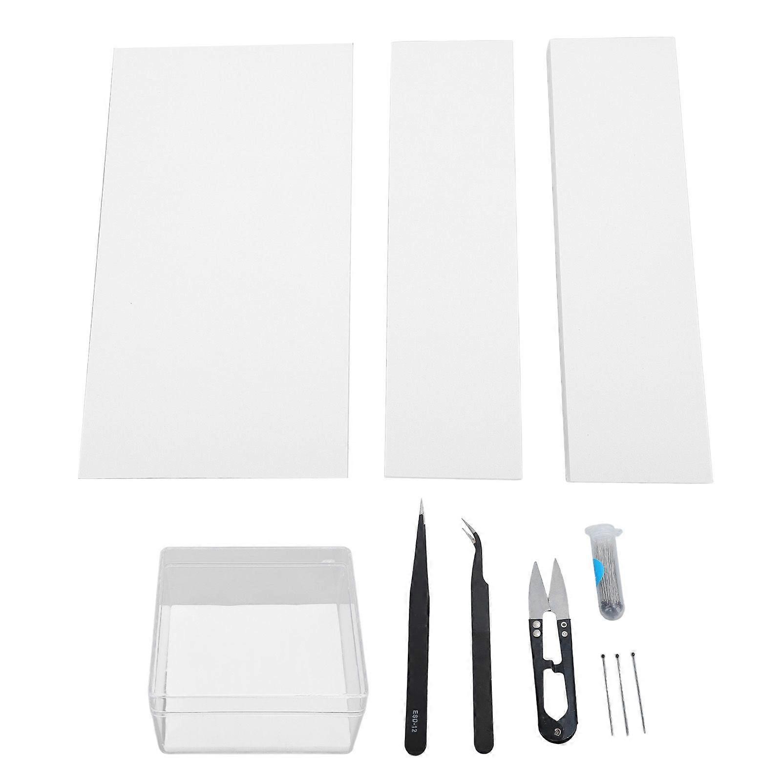 Butterfly Specimen Tools Kit Display Case Box 8 Sheets Paper Press EVA Foam Butterfly Board 100 Stainless Steel Butterfly Pins