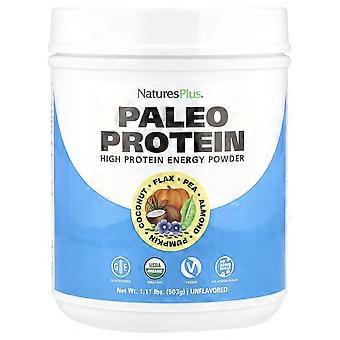 NaturesPlus, Paleo-Proteinpulver, Geschmacksneutral, 503 g (1,11 lbs)