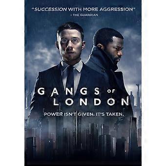 Gangs Of London Immersive Puzzle Y294