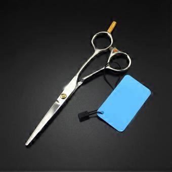 Professional Hair Cutting Scissors Silver Set with Precision Blades and Ergonomic Design for Salon and Home Use