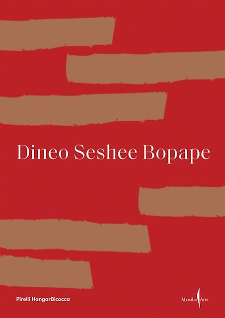 Dineo Seshee Bopape by Marsilio Paperback
