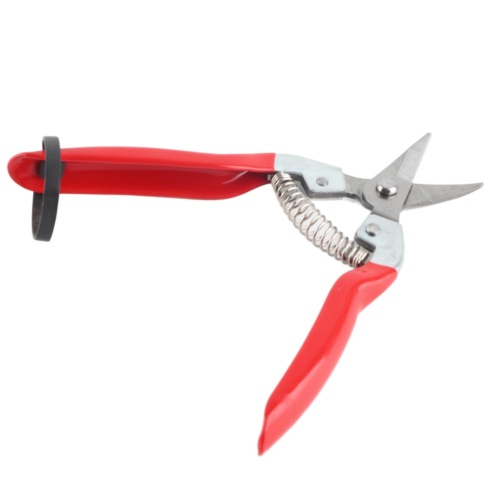 Fruit Tree Bonsai Pruning Shear 1Pc Garden Scissors Pruner Tool with Curved Blade Sturdy Durable for Precise Cutting