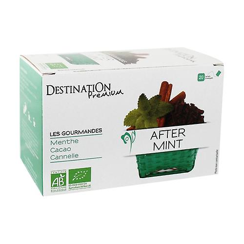 Gourmet Infusion After Mint 20 infusion bags