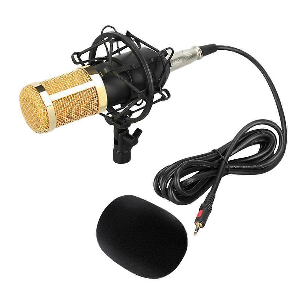 Condenser Microphone Large Diaphragm MIC for Broadcasting/Studio Recording