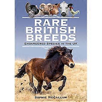 Rare British Breeds Endangered Species in the UK
