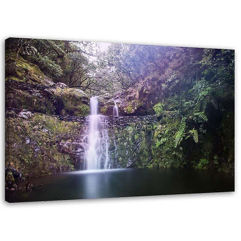 Impression sur toile, Cascade dans la forêt - 90x60