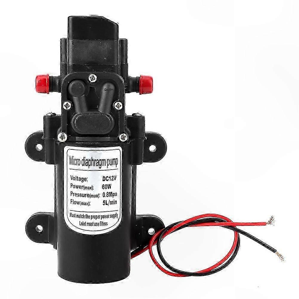 Micro pompe à eau électrique haute pression 12V pour le lavage de voiture Pompe à membrane auto-amorçante 60W avec fonction de commutation de pression