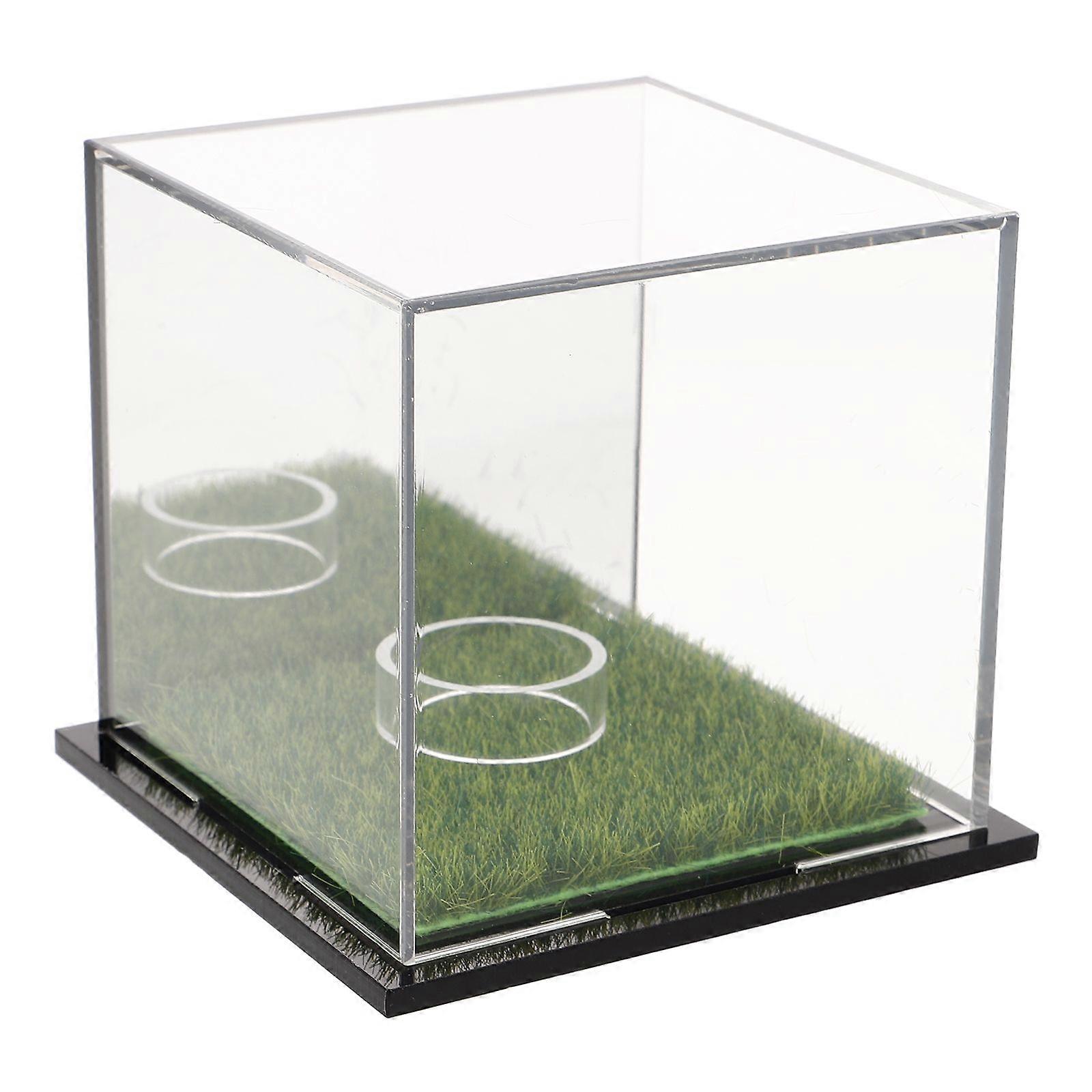 Golf Ball Display Case Clear Golf Ball Holder Transparent Display Case for Keepsake Display Golf Ball Stand Display Clear Golf Ball Container Single G