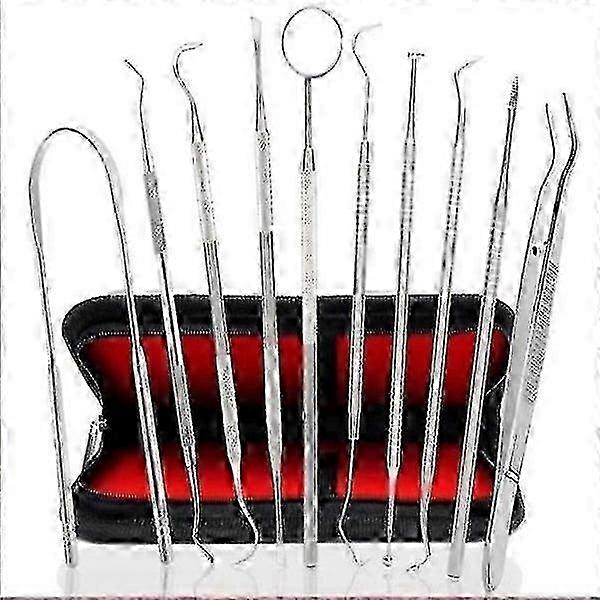 10-Pack Professional Dental Plaque Remover Teeth Cleaning Tools Set