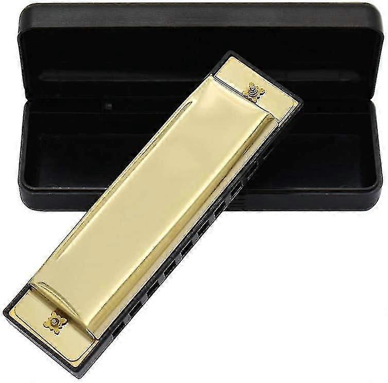 10 Hole Harmonica 20 Tunes Professional Metal Diatonic Harmonica Beginner