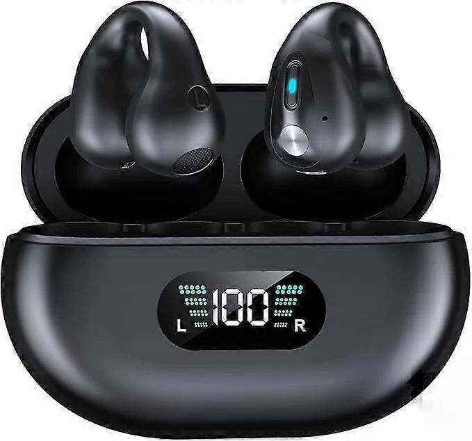Wireless Bluetooth Earbuds with LED Display Charging Case for iPhone Android